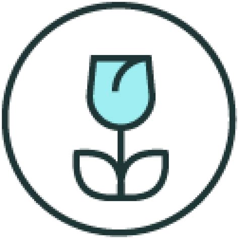 Hannah Harper | BrightCarbon