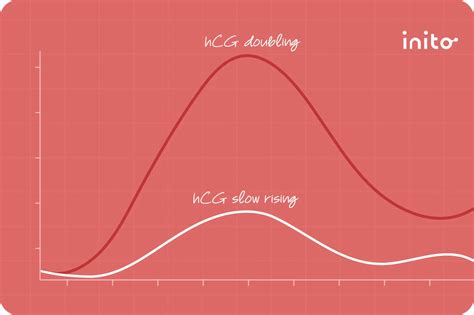 how to know if hcg levels are rising