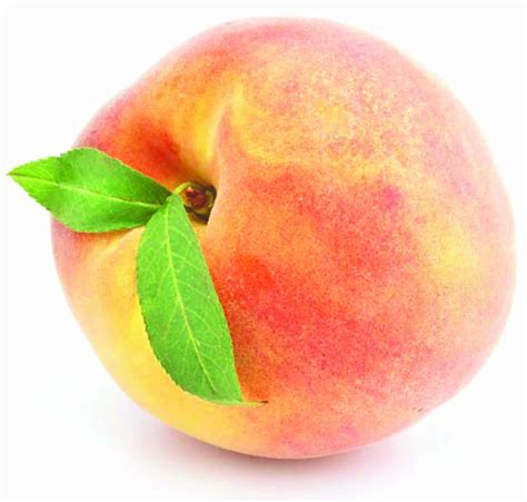Georgia Peach Pictures