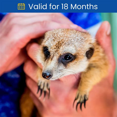 wild animal encounters with humans 1