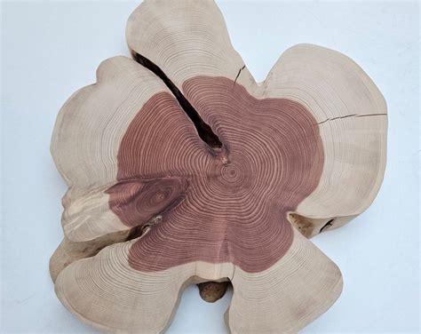 Unfinished Juniper Wood Slab for Coffee Table, Raw Edge Juniper Tree ...