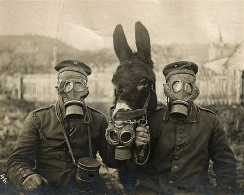 Primeira Guerra Mundial Armas - 7