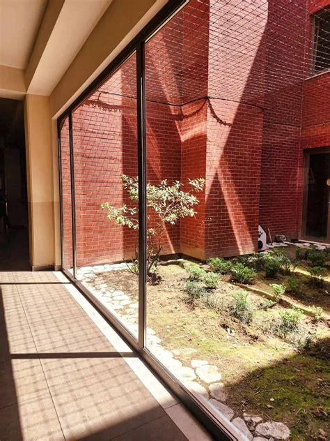 How To Grow Nopal Cactus In Humid Climates? - nopalwellness.com