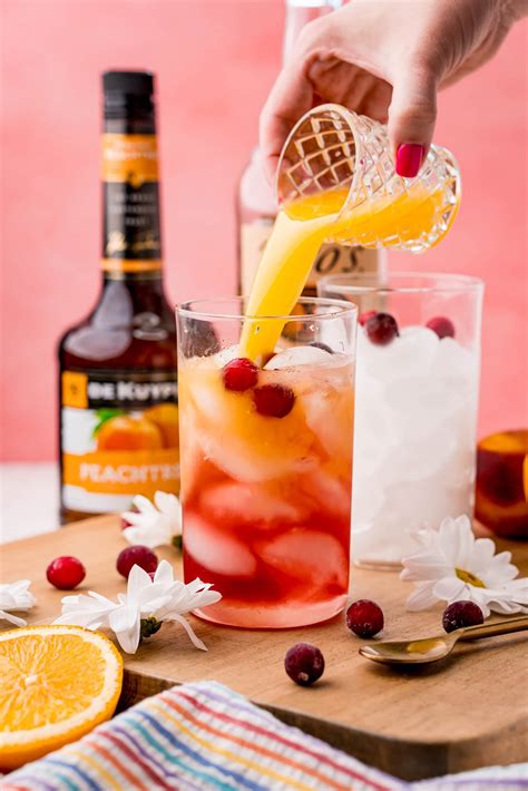 Sex on the Beach Cocktail Recipe - Sweet Cs Designs