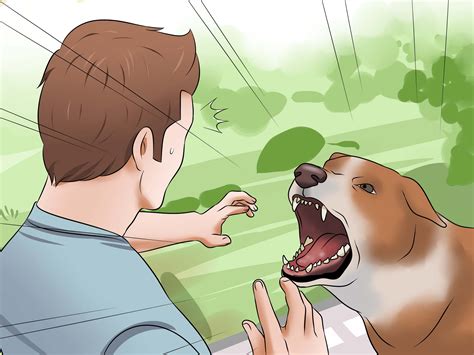 How To Stop Dog From Biting Bed at Elisa Champagne blog