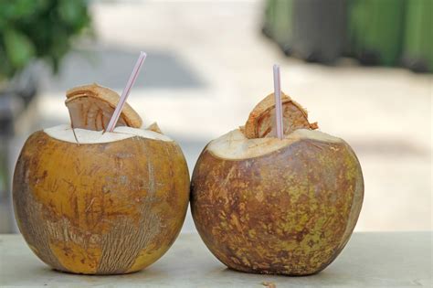 coconut drink recipe besto blog
