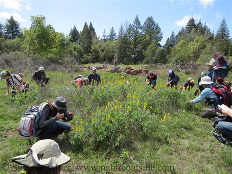 The Naturalist is an Endangered Species - NatureOutside