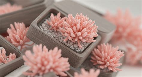 How Does the Presence of Indoor Plants Specifically Facilitate Soft