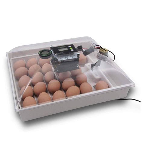 top   chicken incubator   egg incubator