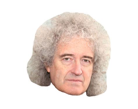 brian  vip celebrity cardboard cutout face mask
