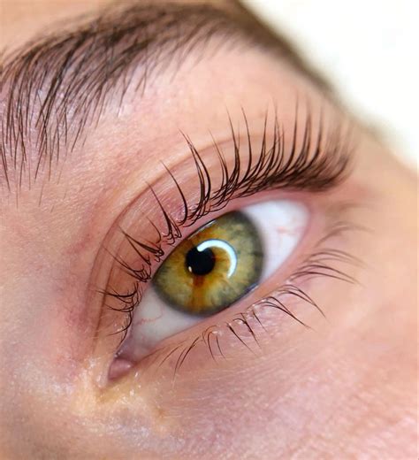 Ламинирование ресниц lash lift laminazione | Ресницы, Летний макияж, Брови