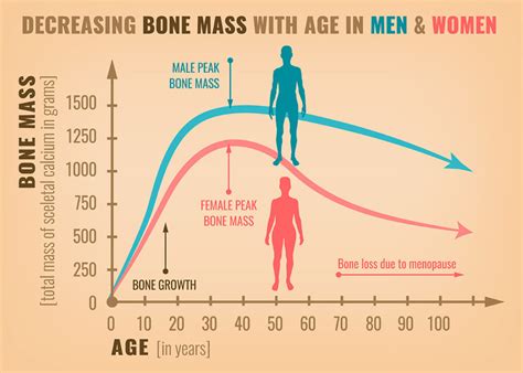 The Menopause and Osteoporosis: What To Do? - Rejuvage