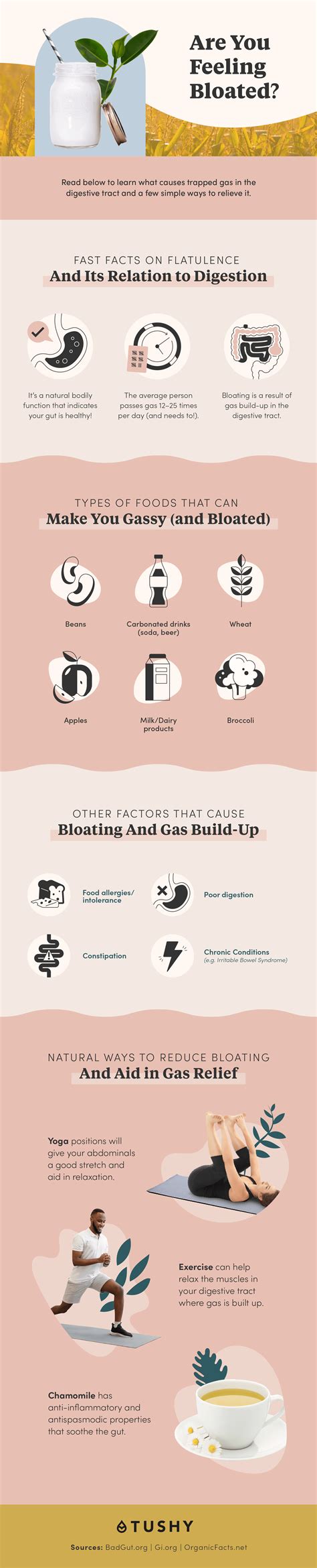 How To Relieve Gas Quickly - Economicsprogress5