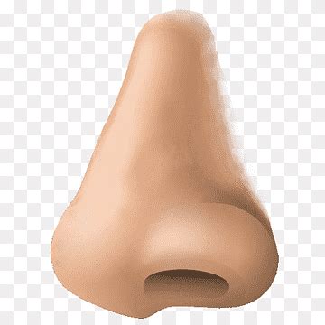 Nose png images | PNGWing