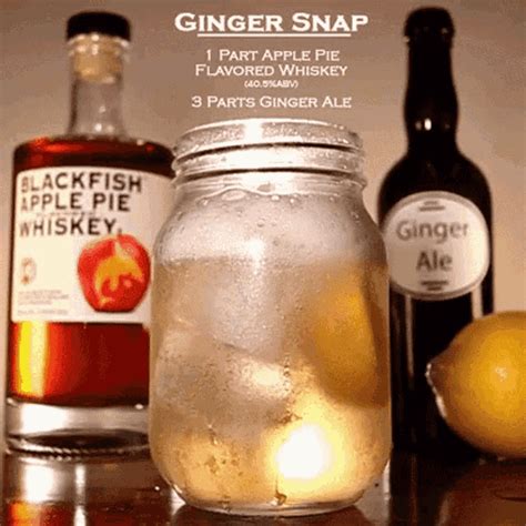 Cocktail Ginger Snap GIF - Cocktail Ginger Snap - Discover & Share GIFs
