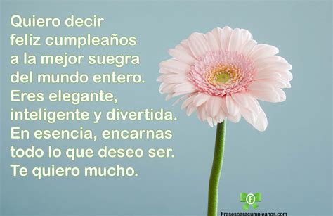 Las Mejores Citas de Felicitaciones para mi SUEGRA - frasescumple