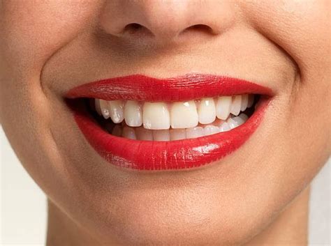 Are Teeth Made Out of Bone? The Surprising Truth About Tooth Structure ...