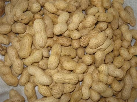 type  raw shelled peanut  rs kg  ambarnath id