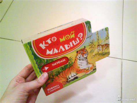 Книга: Кто мой малыш? - Юлия Шигарова. Купить книгу, читать рецензии ...