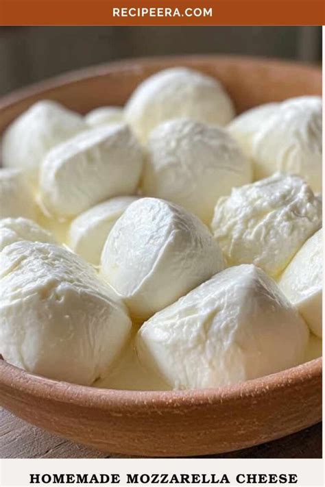 homemade mozzarella cheese recipeera