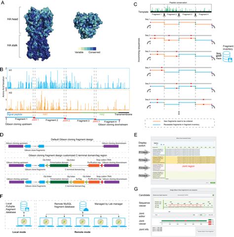 librator helps users  save reagent cost  designing optimized gibson