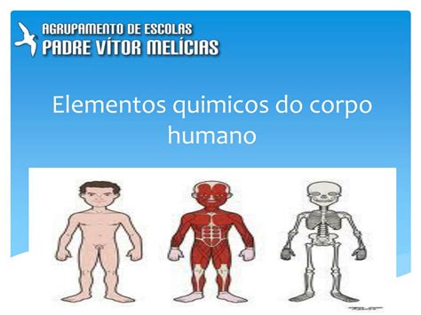 Quais São Os 21 Elementos Químicos Presentes No Corpo Humano