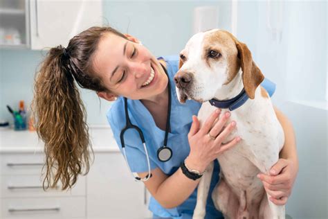 Blogs Archives - DaySmart Vet
