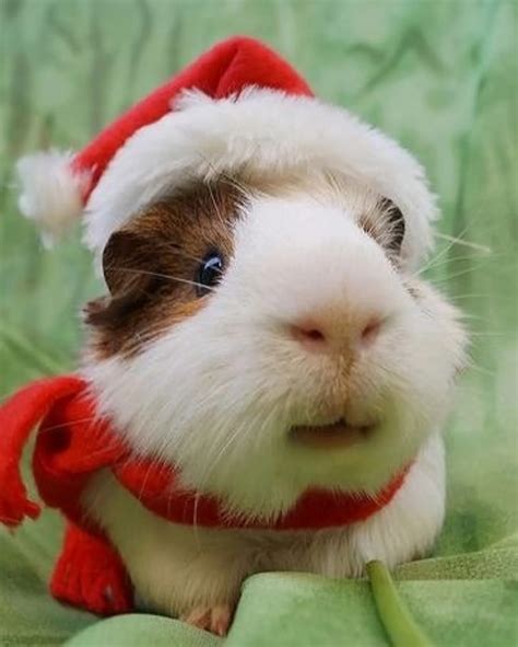 Regina Turner | DoubleTAP and Tag a friend in this post ️ ️ 📸 Via