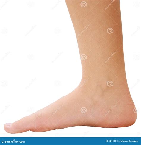 pie de womans imagen de archivo imagen de estatura actitud