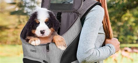 dog backpacks review   mypetgurucom