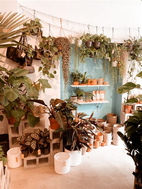 Miss Botanique | Plant Stores