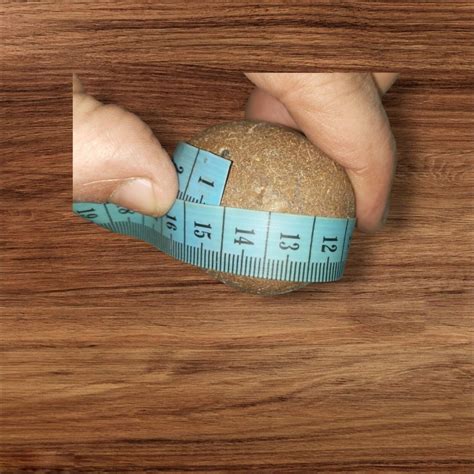 Stone Rare Antique Medieval Cannon Ball - Authentic Historical Artifact"