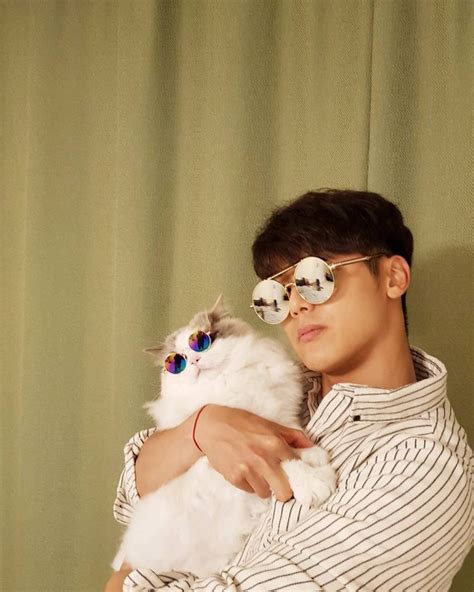 artis korea pecinta kucing interaksinya bikin gemas