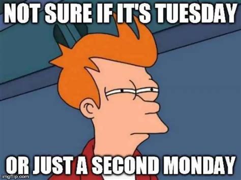 This Happy Tuesday Meme Will Make Your Day (Seriously!) - 4lvgvm4