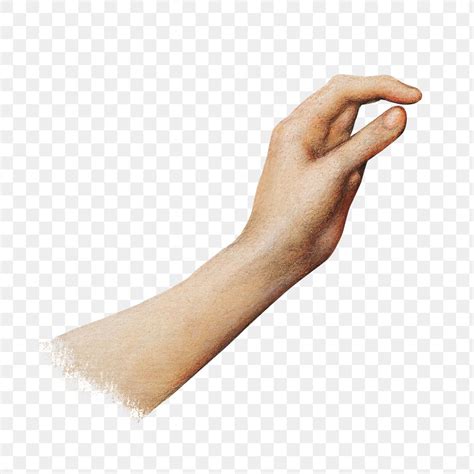 hand picking gesture design element premium png sticker rawpixel