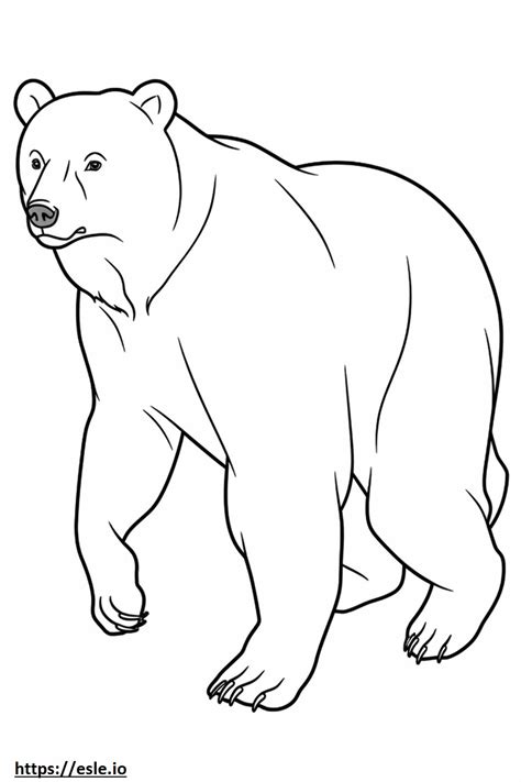 Brown Bear Playing coloring page
