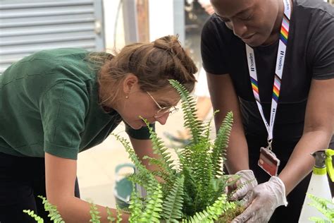 Urban Growth - Creating Green Communities in London