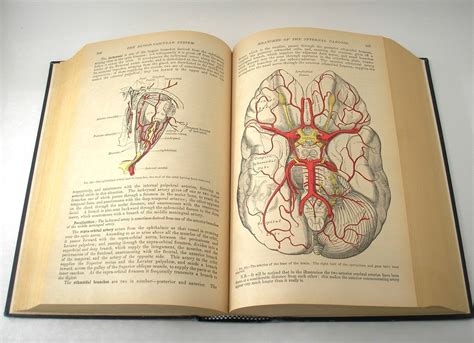 Anatomy Workbook Vintage