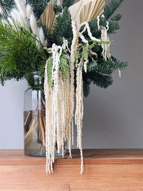 Стабилизированный амарант в букете | Macrame plant hanger, Plant hanger ...