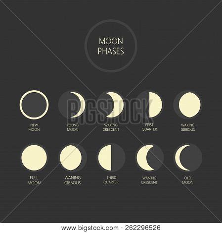 Lunar Phases Vector Vector & Photo (Free Trial) | Bigstock