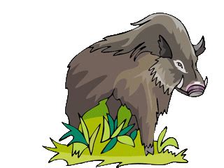 babi celeng gif gambar animasi animasi bergerak  gratis