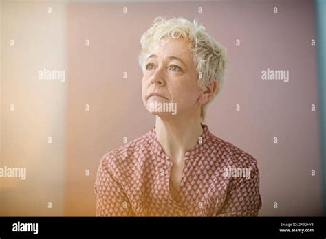 front view shot mature  res stock photography  images alamy