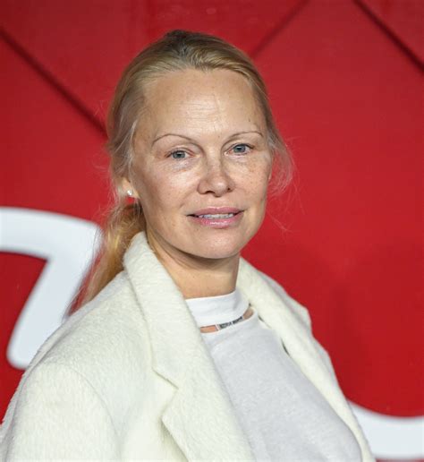 Lorde Backlash Pamela Anderson, Tommy Lee Sex Tape Comments