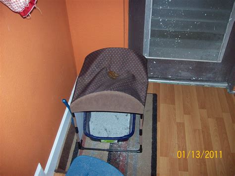 Some things just defy explanation. : r/WTF