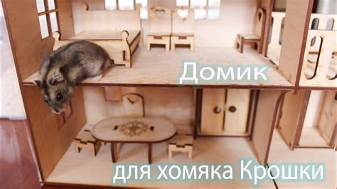 Игровой домик для хомяка Крошки - YouTube