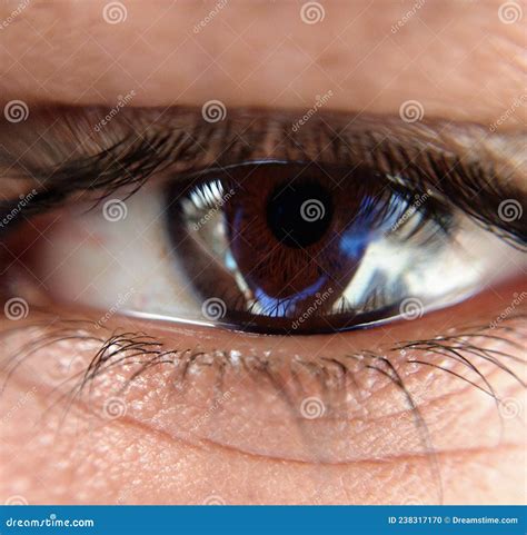 micro pic  human eye stock photo image  micro