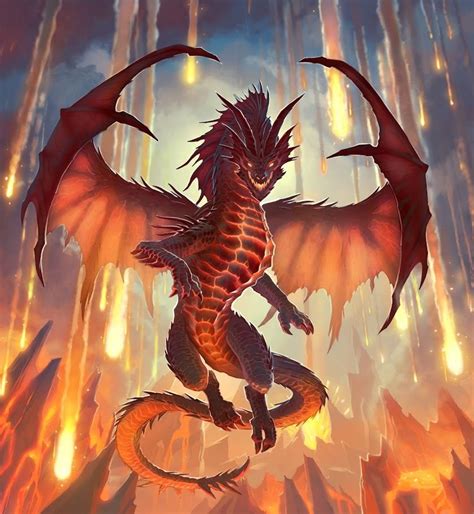 hd illustrations fire dragon design fantasy dragon illustration
