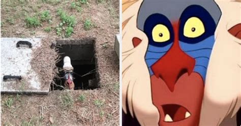 random       shouldnt