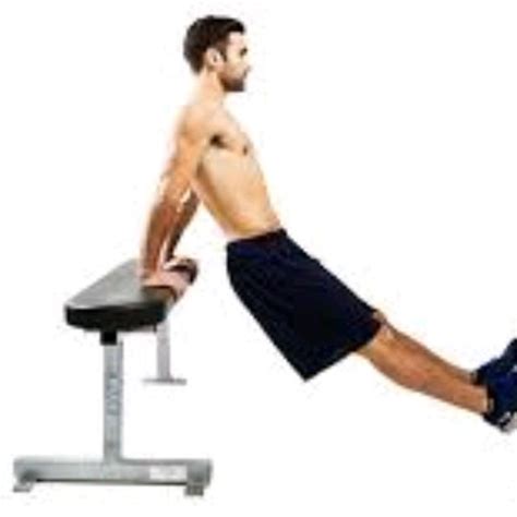 Tricep Bench Dips by Sonia R. - Exercise How-to - Skimble