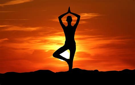 yoga courses  india travel hymns